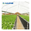 Single Span Tunnel Film Agricultural Greenhouse